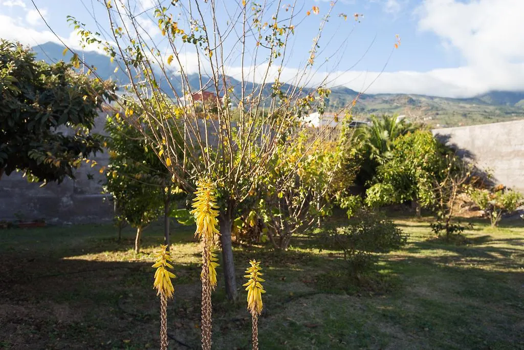 Casa Madera Vistas Mar Y Montana Holiday home Arafo Spain